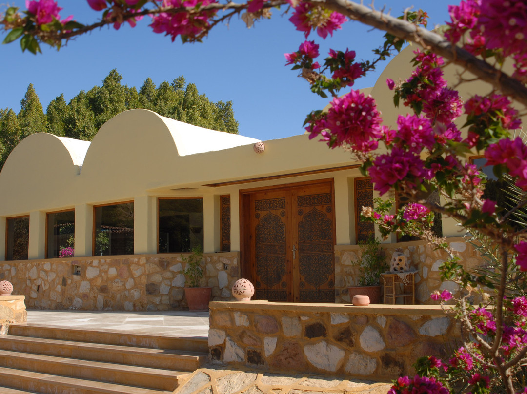 Bahariya Oasis酒店住宿-International Hot Spring Hotel