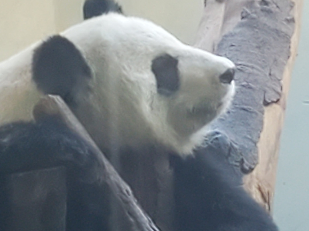 Artsy Me Ceramic & Art Studio