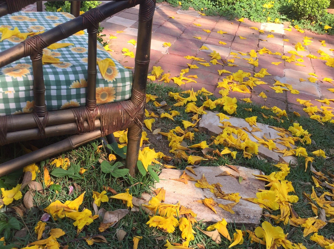 Hospedaria Flores Em Cantos