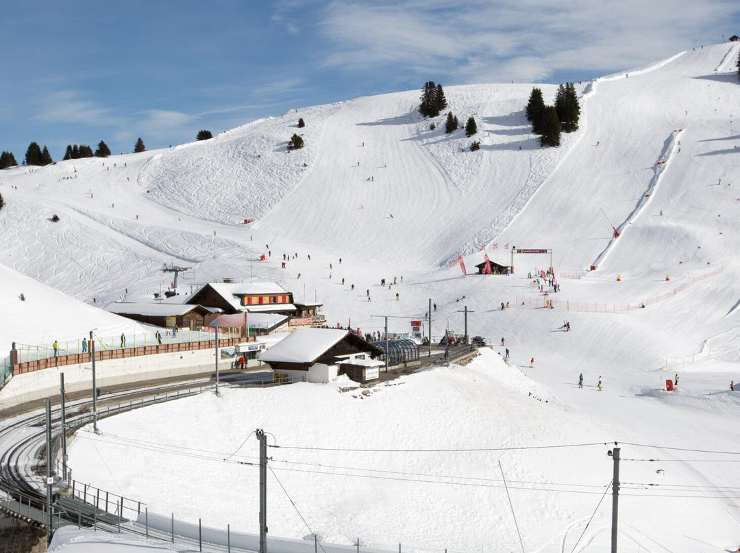 Train Bex - Villars - Bretaye-埃格勒必去景点