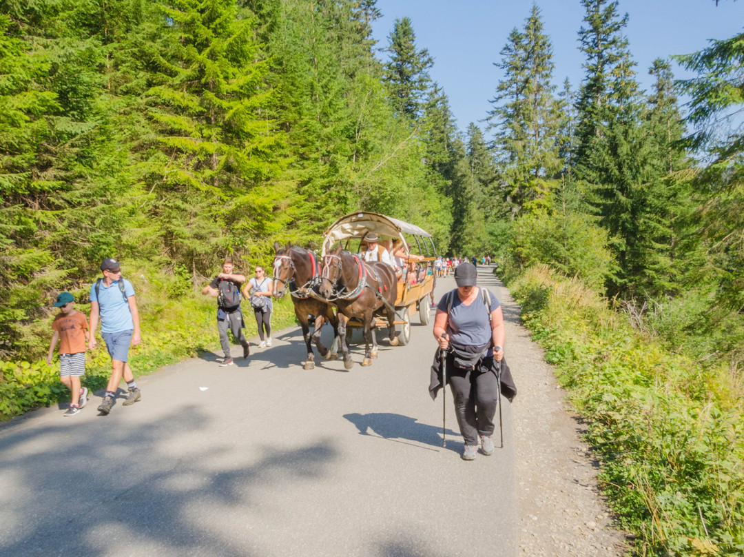 Przewóz Konny Do Morskiego Oka景点图片