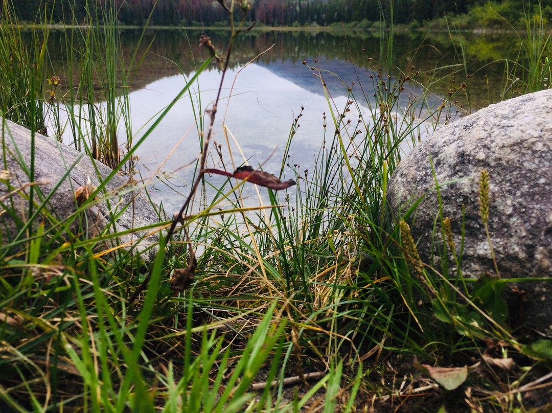 Mina - Riley Lakes Loop