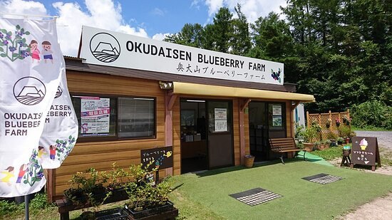 Okudaisen Blueberry Farm景点图片