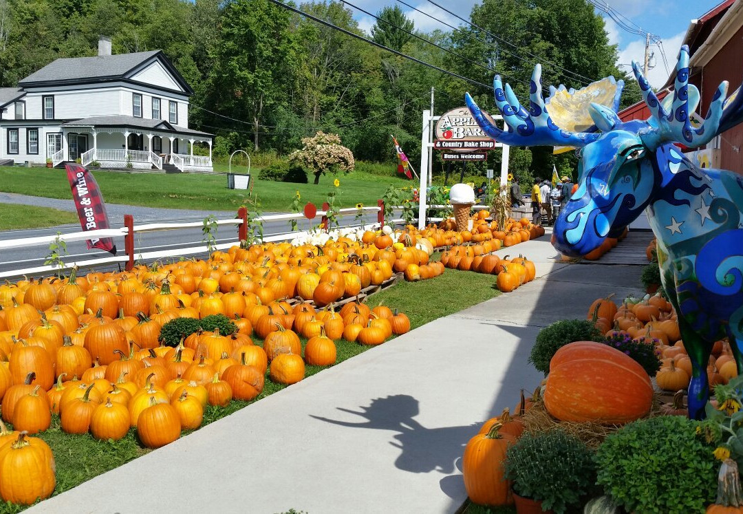 The Apple Barn and Country Bake Shop-本宁顿必去景点