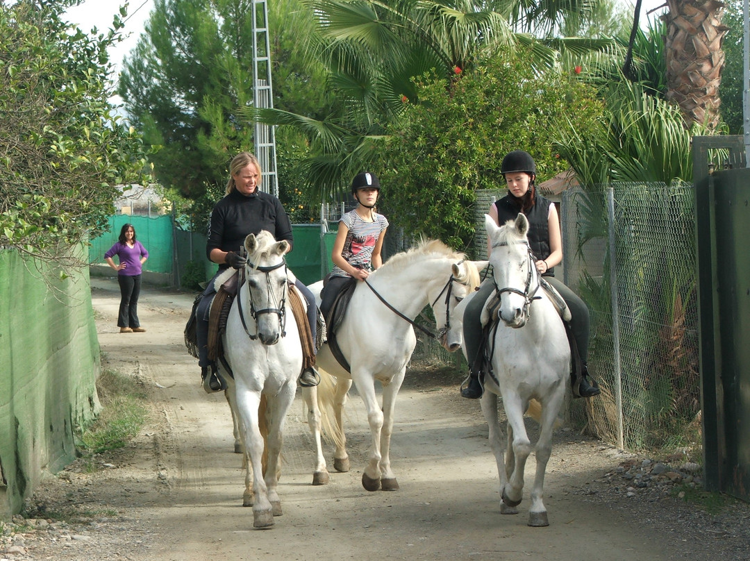 Rancho del Rio景点图片