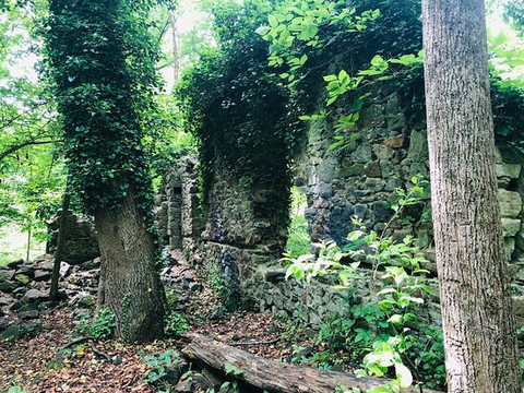 Saint Stanislaus Kostka Catholic Church-Windsor Mill必去景点