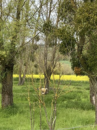 Ferme Fortifiée De Ville-au-val-Millery必去景点
