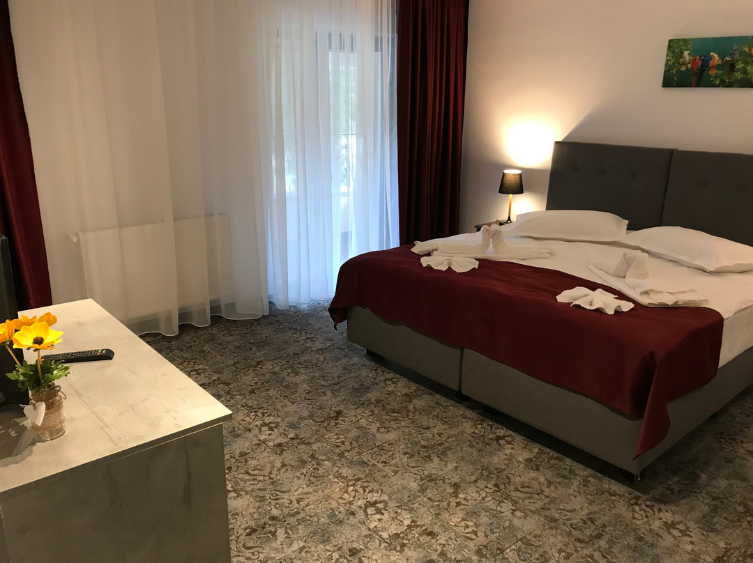 Valcea County酒店住宿-Hotel Parang