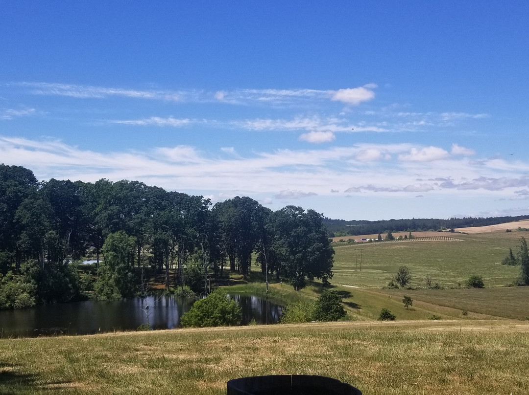 Andante Vineyard-Dallas必去景点