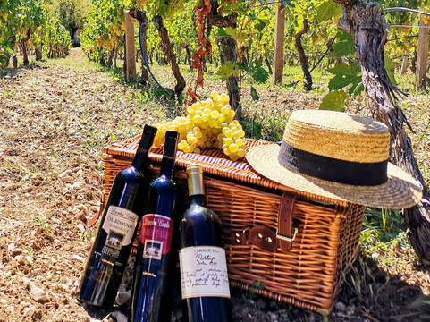 Orvas Experience-赫瓦尔必去景点