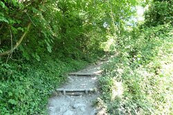 Tombe rupestri di San Liberatore景点图片