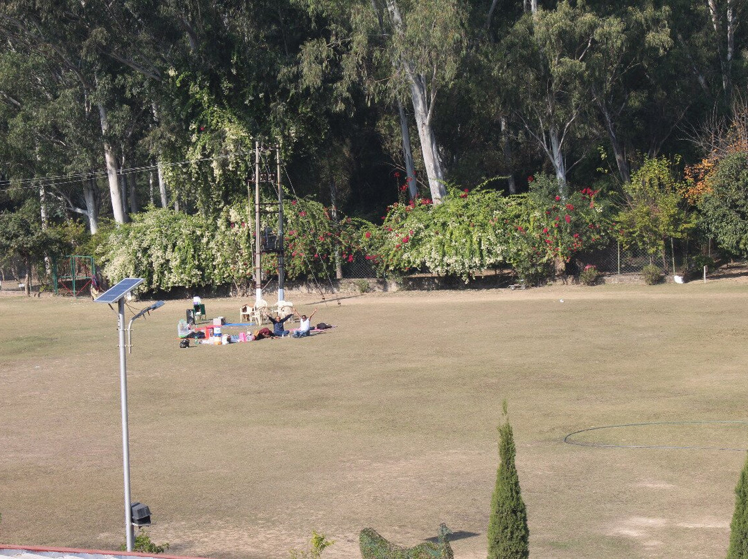 Nepli Reserve Forest-昌迪加必去景点