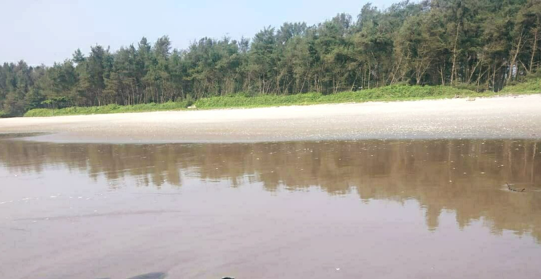 Meenkunnu Beach景点图片