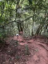 Cascata Rasga Diabo-Vespasiano Correa必去景点