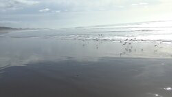 Rio Del Mar State Beach-阿普托斯必去景点