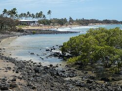 Turtle Park-Bargara必去景点