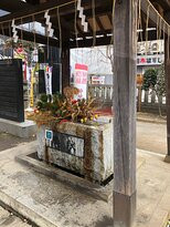 Kashiwa Shrine-柏市必去景点