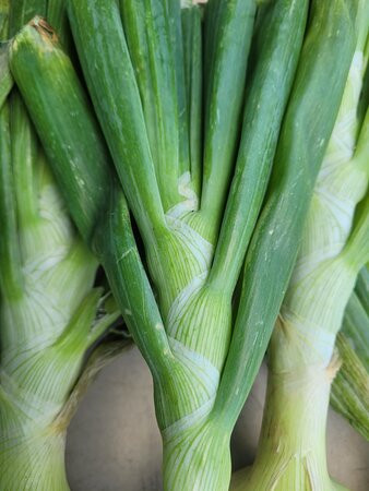 La Plata Farmers Market景点图片