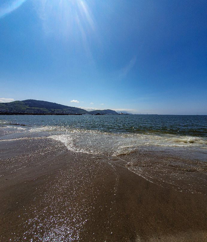 Playa de Arrigunaga景点图片