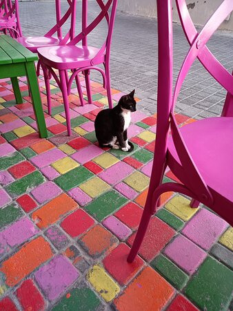 Boulevard of Broken Dreams-Karpathos Town (Pigadia)必去景点