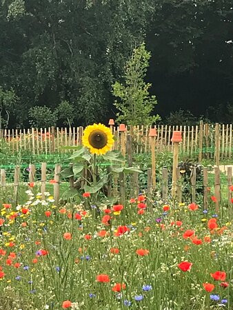 Jardin des Plantes景点图片