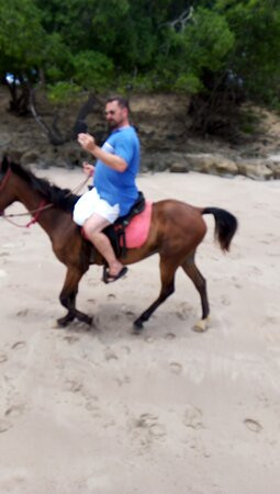 Horses Hiking Conchal Beach景点图片