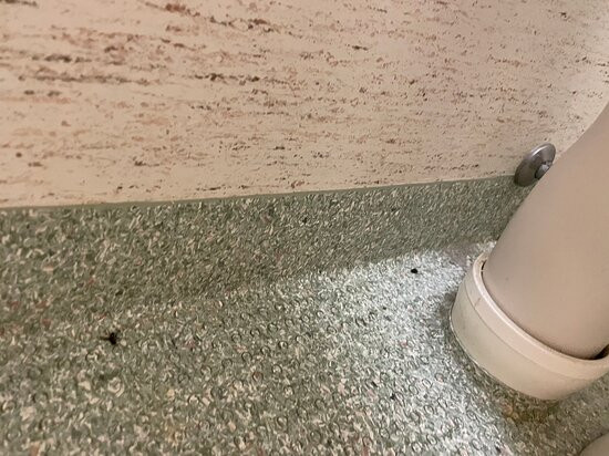 贾尔纳伦杜酒主图