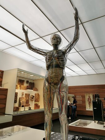 Deutsches Hygiene-Museum Dresden-德累斯顿必去景点