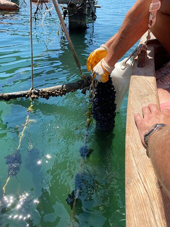 Mussel Tour-Ksamil必去景点