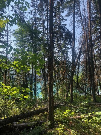 Bowman Lake-冰河国家公园必去景点