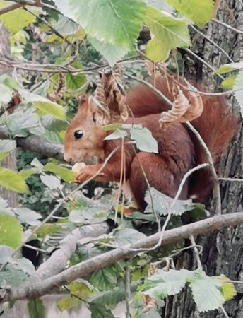 Parque Municipal de San Vicente-Lliria必去景点