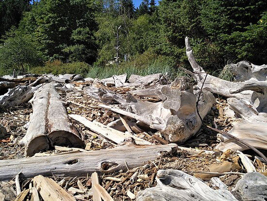 Sargeant Bay Provincial Park-Halfmoon Bay必去景点