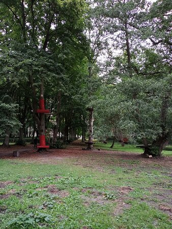 Rope Park BLUSZCZ Swinoujscie景点图片