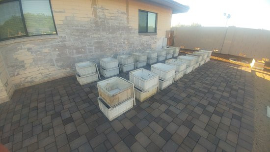 Honey Hive Farms景点图片