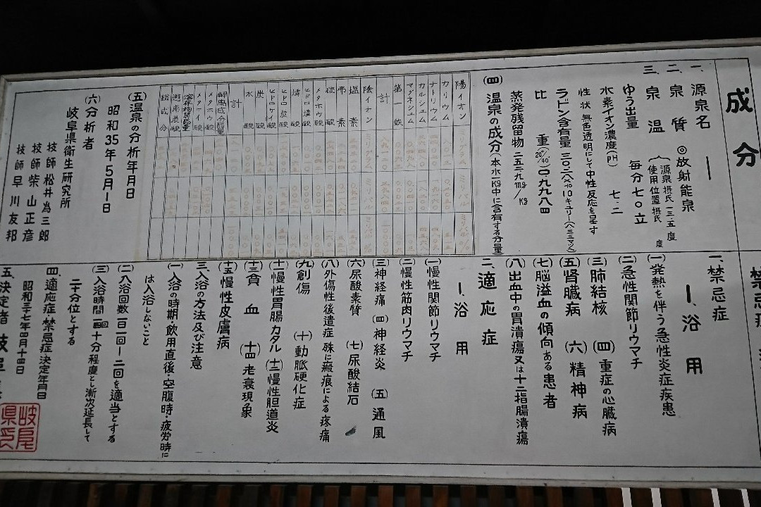 Ena Radium Onsenkan主图