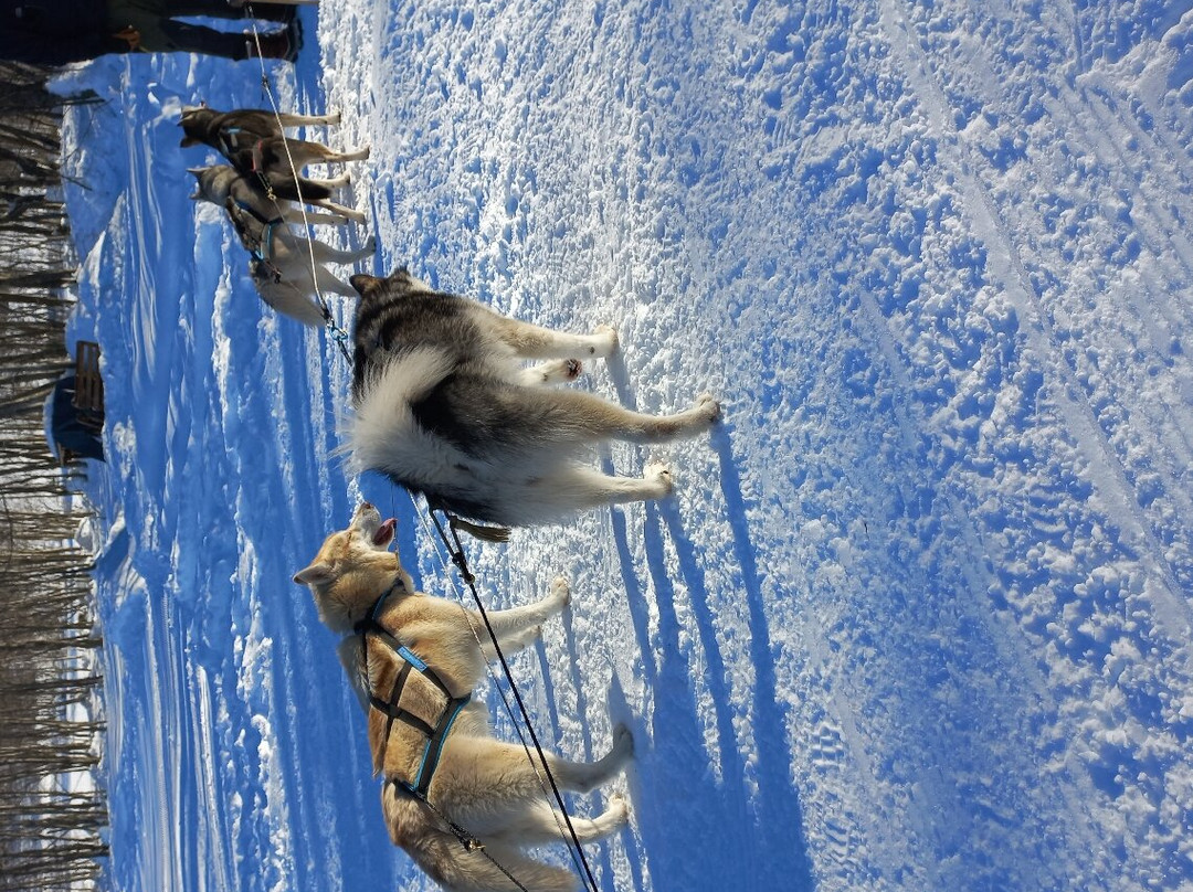 Evolution 2 Megeve-梅杰夫必去景点