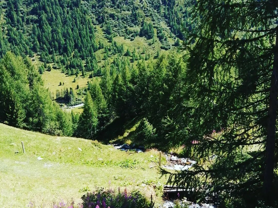 Panoramica Sulla Val Viola