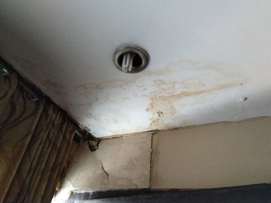 The Grand Choice主图