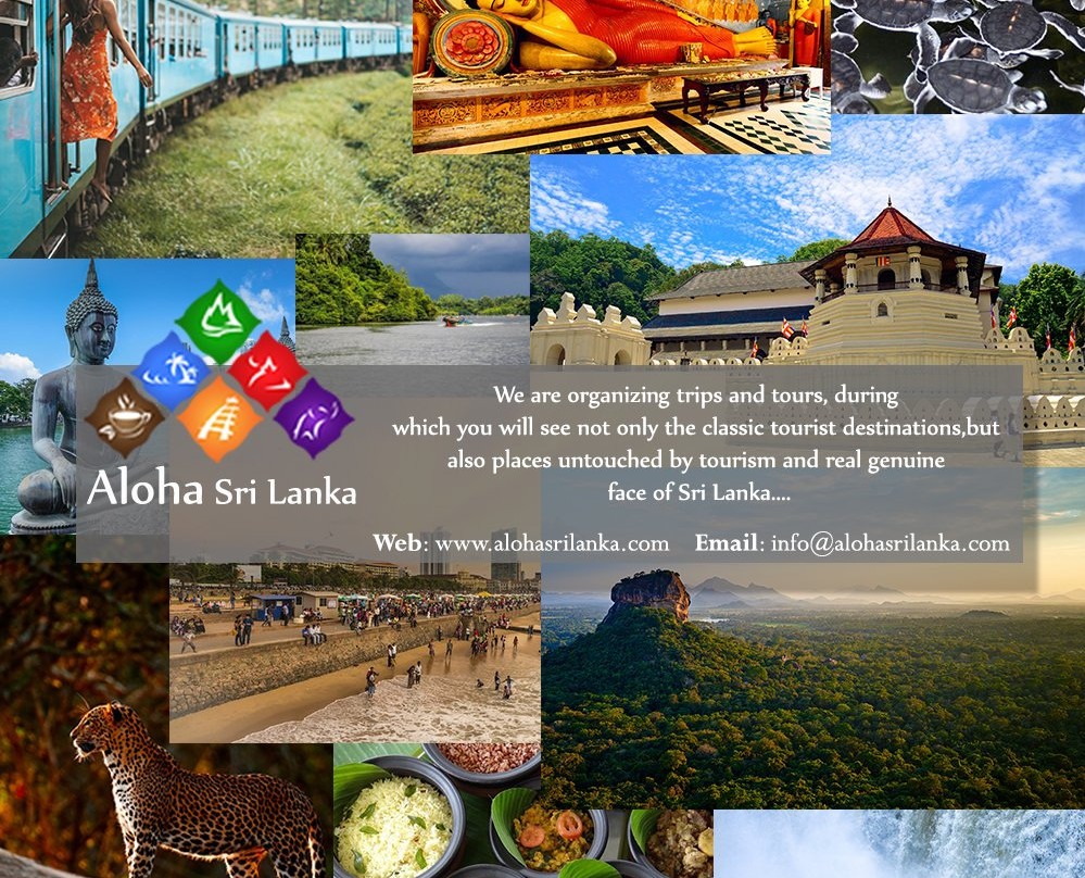Aloha Sri Lanka (Pvt) Ltd景点图片