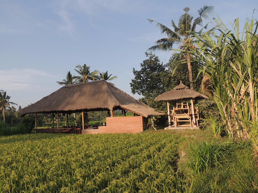 Guliang Kangin-邦利必去景点