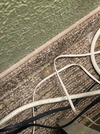 Super 8 by Wyndham Macon主图