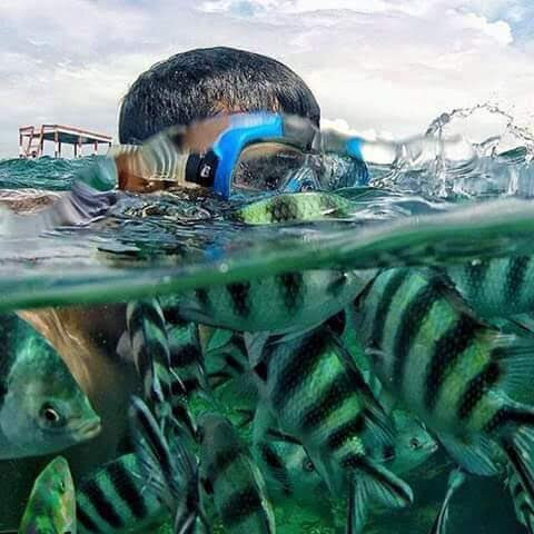 Malindi Marine Boat Excursions-马林地必去景点