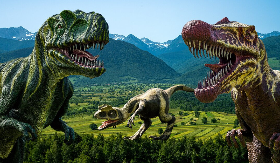 Dinosaur World Transylvania景点图片
