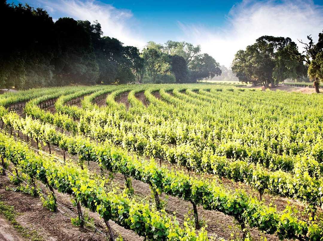 洛迪旅游攻略图片