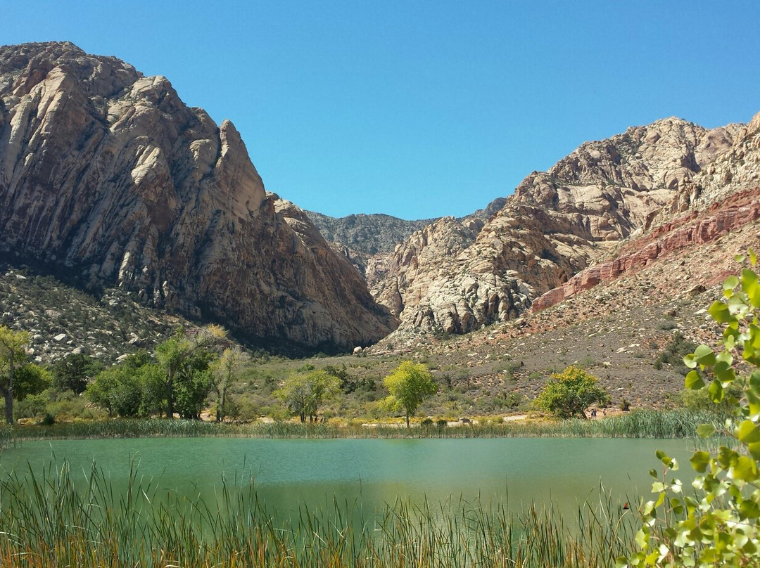 Blue Diamond旅游攻略图片