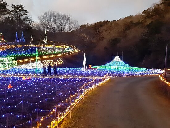 Ichihara Quard's Forest-市原市必去景点