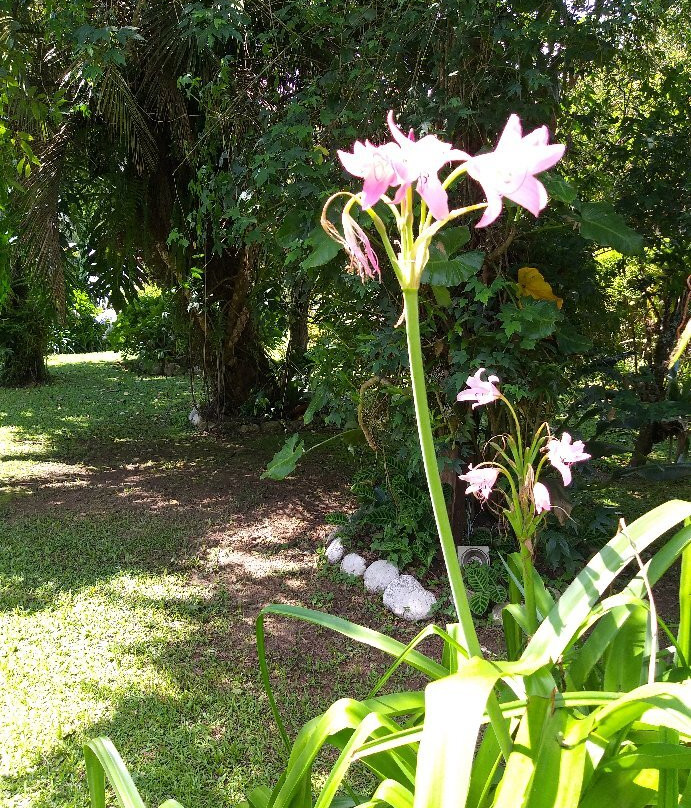 Pousada Montserrat主图