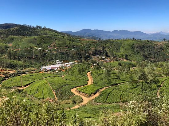 Train Tours-埃勒必去景点