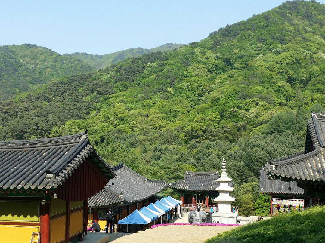 Guryongsa Temple景点图片