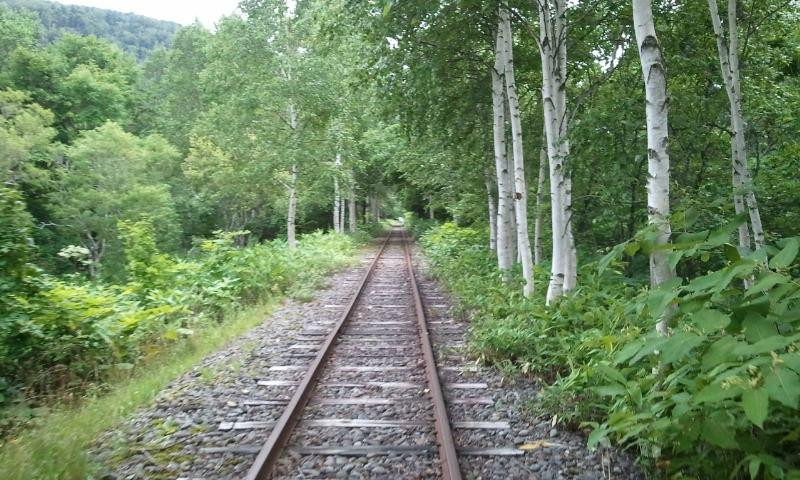 美深町旅游攻略图片